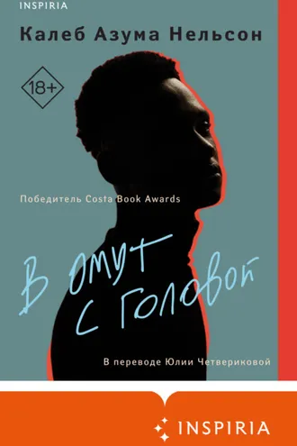 Обложка книги «В омут с головой»