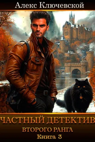 Обложка книги «Частный детектив второго ранга. Книга 3»