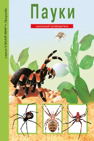 Обложка книги «Пауки, клещи, скорпионы»