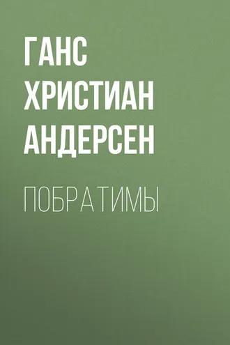 Обложка книги «Побратимы»