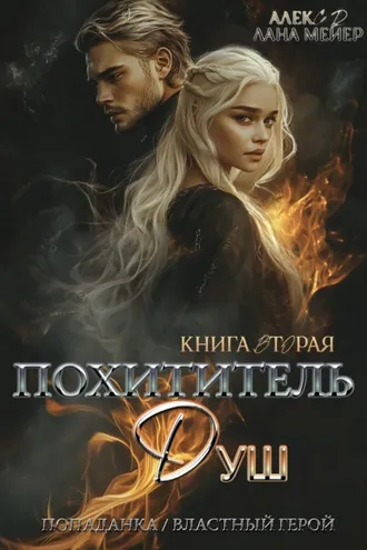 Обложка книги «Похититель душ 2»