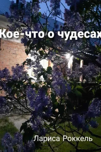 Обложка книги «Кое-что о чудесах»