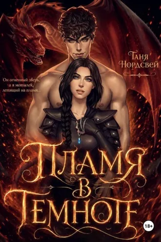 Обложка книги «Пламя в темноте»