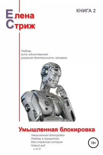 Обложка книги «Умышленная блокировка»