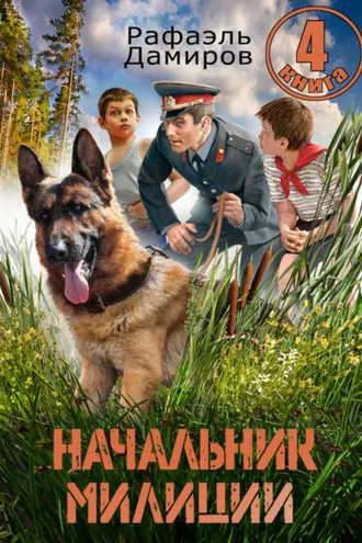Обложка книги «Начальник милиции 4»