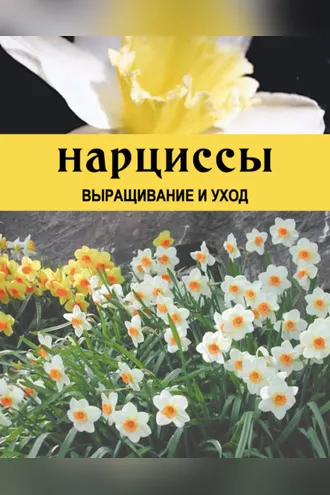 Обложка книги «Нарциссы. Выращивание и уход»