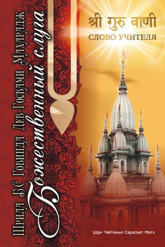 Обложка книги «Божественный слуга»