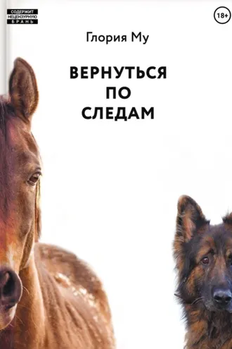 Обложка книги «Вернуться по следам»