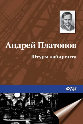 Обложка книги «Штурм лабиринта»