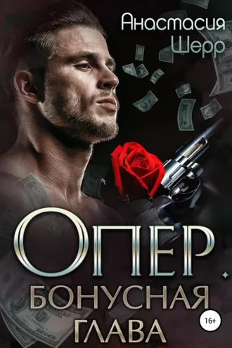 Обложка книги «Опер. Бонус»