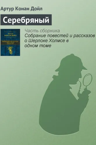 Обложка книги «Серебряный»
