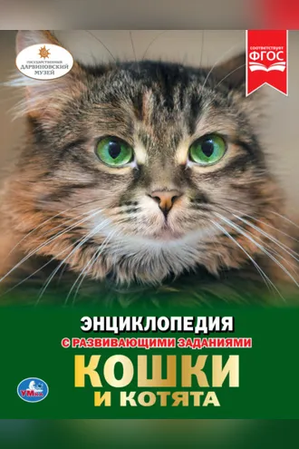 Обложка книги «Кошки и котята»