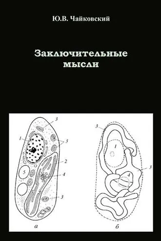 Обложка книги «Заключительные мысли»