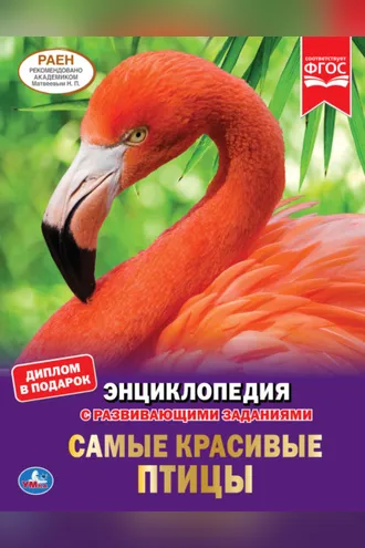 Обложка книги «Самые красивые птицы»