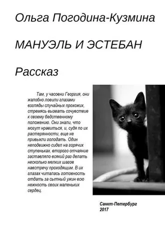 Обложка книги «Мануэль и Эстебан»