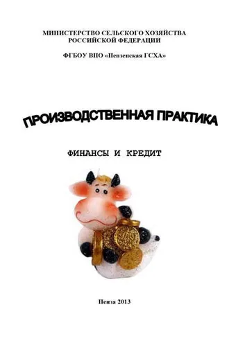 Обложка книги «Производственная практика. Финансы и кредит»