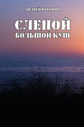 Обложка книги «Слепой. Большой куш»