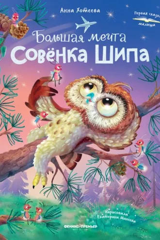 Обложка книги «Большая мечта совенка Шипа»