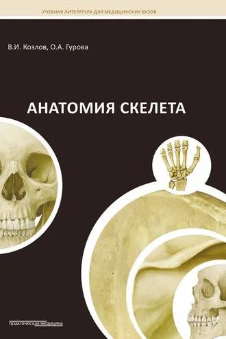 Обложка книги «Анатомия скелета»