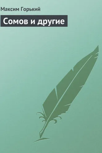 Обложка книги «Сомов и другие»