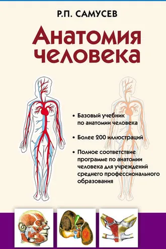 Обложка книги «Анатомия человека»