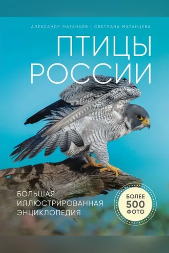 Обложка книги «Птицы России. Большая иллюстрированная энциклопедия»
