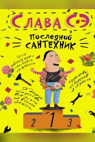 Обложка книги «Последний сантехник»