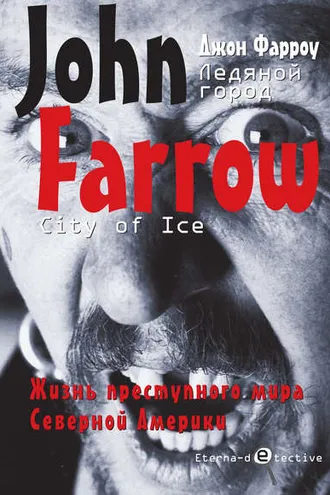 Обложка книги «Ледяной город»