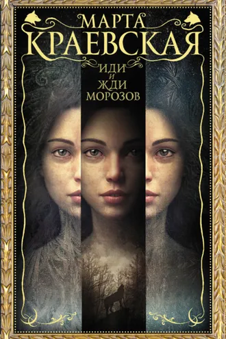 Обложка книги «Иди и жди морозов»