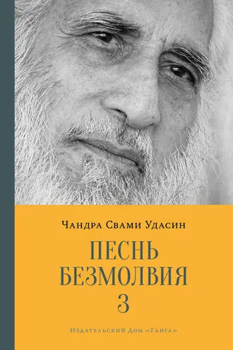 Обложка книги «Песнь безмолвия. Книга 3»