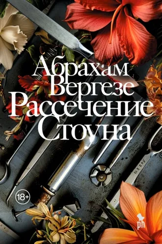Обложка книги «Рассечение Стоуна»