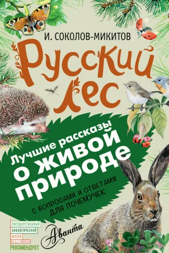 Обложка книги «Русский лес. С вопросами и ответами для почемучек»