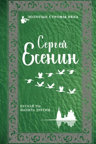 Обложка книги «Пускай ты выпита другим…»