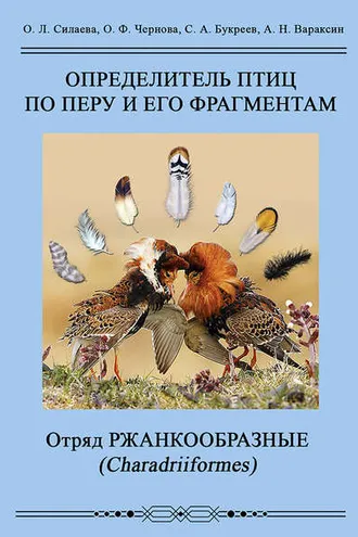 Обложка книги «Определитель птиц по перу и его фрагментам. Отряд Ржанкообразные (Сharadriiformes)»