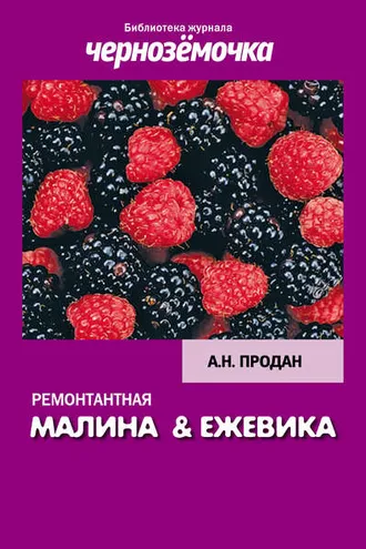 Обложка книги «Ремонтантная малина и ежевика»