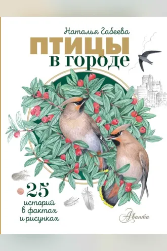 Обложка книги «Птицы в городе. 25 историй в фактах и рисунках»