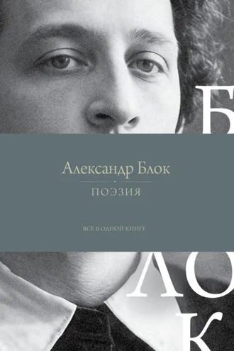 Обложка книги «Поэзия. Все в одной книге»