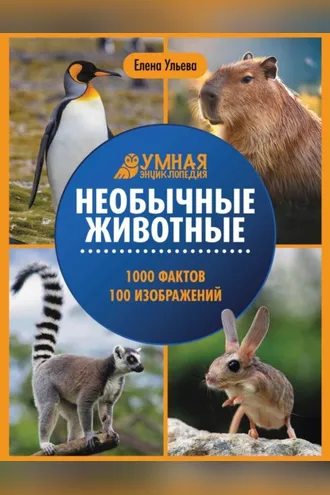 Обложка книги «Необычные животные»