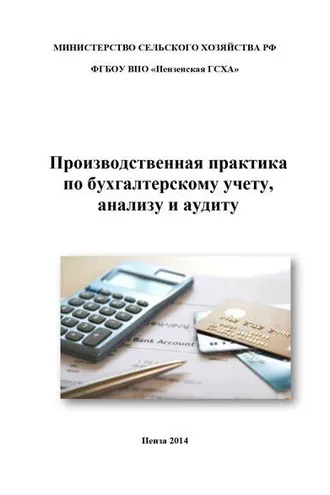 Обложка книги «Производственная практика по бухгалтерскому учету, анализу и аудиту»