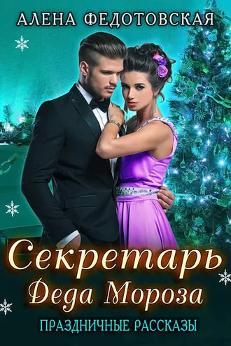 Обложка книги «Секретарь Деда Мороза»