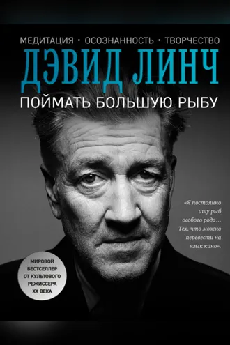 Обложка книги «Поймать большую рыбу. Медитация, осознанность, творчество»