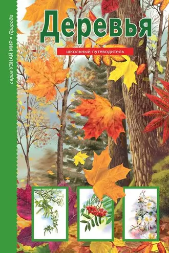 Обложка книги «Деревья»