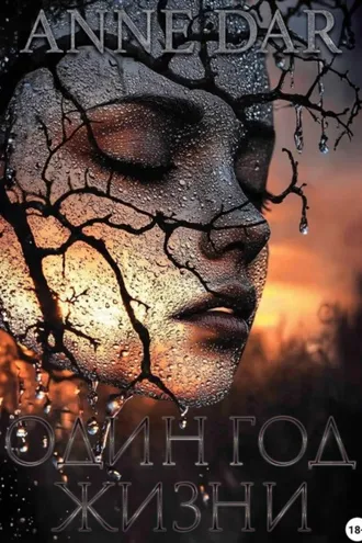 Обложка книги «Один год жизни»