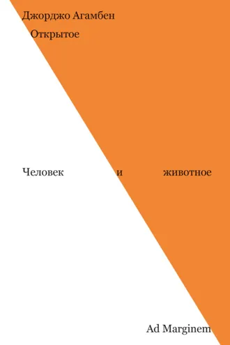 Обложка книги «Открытое. Человек и животное»