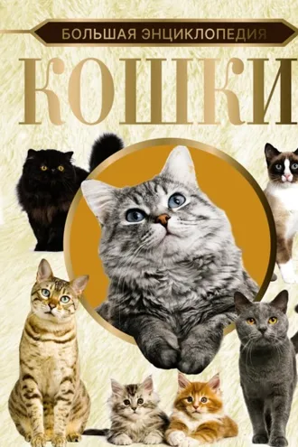 Обложка книги «Большая энциклопедия. Кошки»