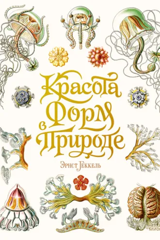 Обложка книги «Красота форм в природе»