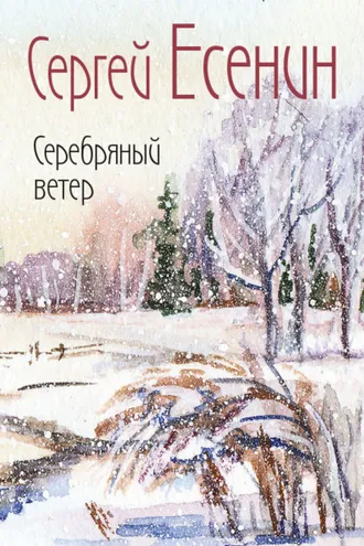 Обложка книги «Серебряный ветер»