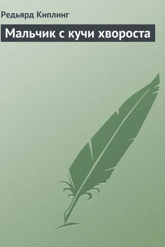 Обложка книги «Мальчик с кучи хвороста»