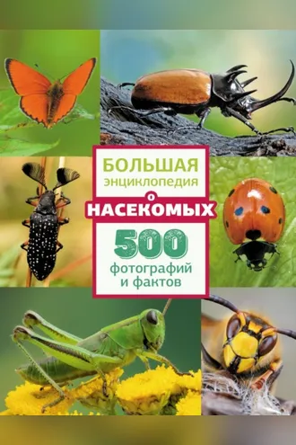 Обложка книги «Большая энциклопедия о насекомых. 500 фотографий и фактов»