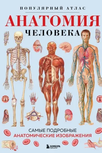 Обложка книги «Анатомия человека. Популярный атлас. Самые подробные анатомические изображения»
